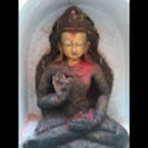 Meet your Posher, Kerry